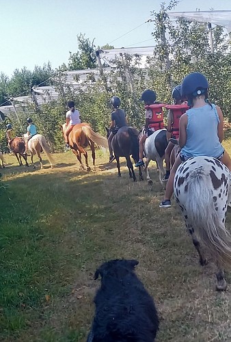 Eperon Laurentais 2023 - Groupe balade pommiers