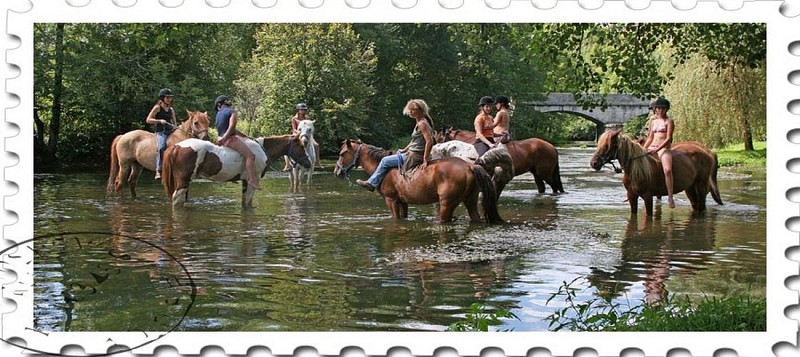 randosequestres_copyrightHippocamp