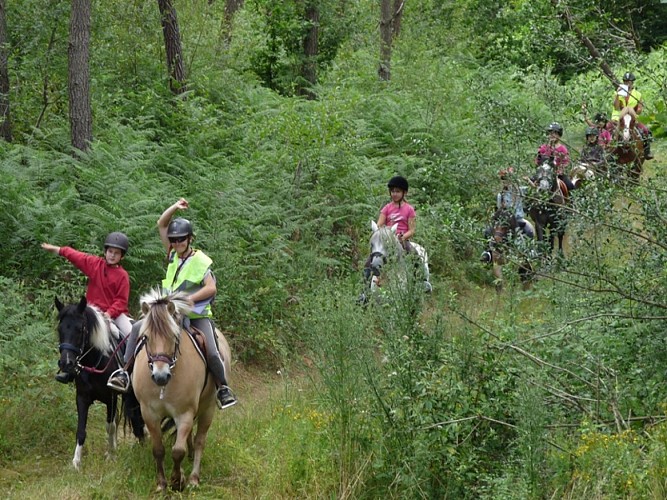 Centre équestre poney club de Bourrou balade en forêt