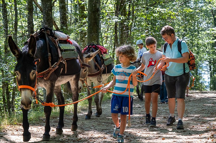 ânes rouffiac 2024 web-34