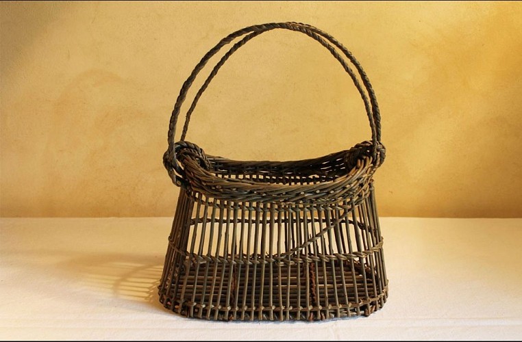 Sonia Maupas, Vannière