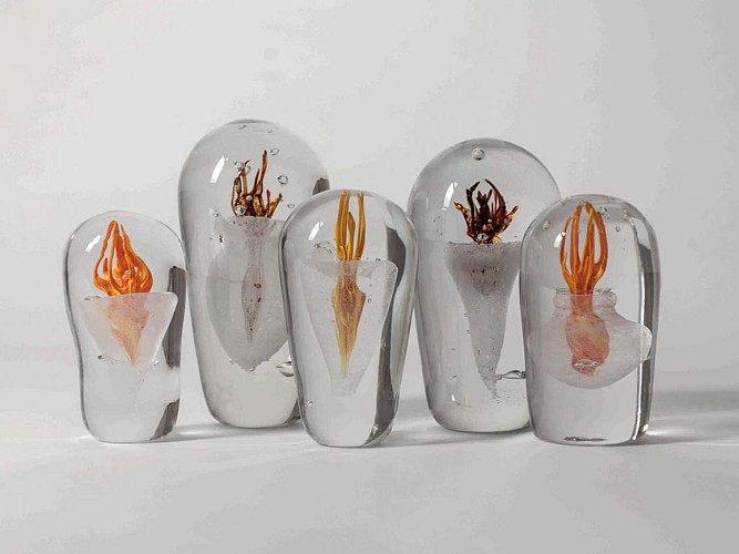 Verrerie de Terrasson - Tibo GLASS