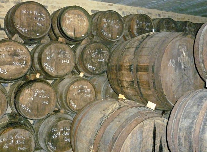 Distillerie la Salamandre