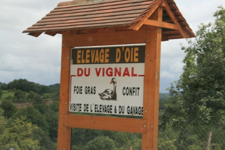 Ferme du Vignal