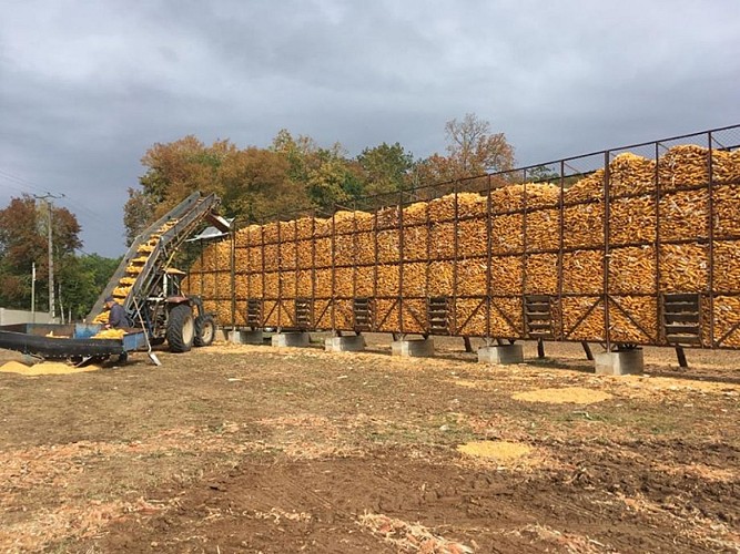 silos_garrigue_haute