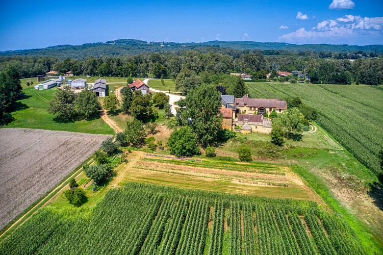 Ferme Garrigue Haute - 1