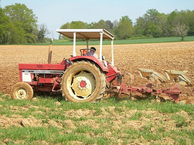 tracteur_ancien