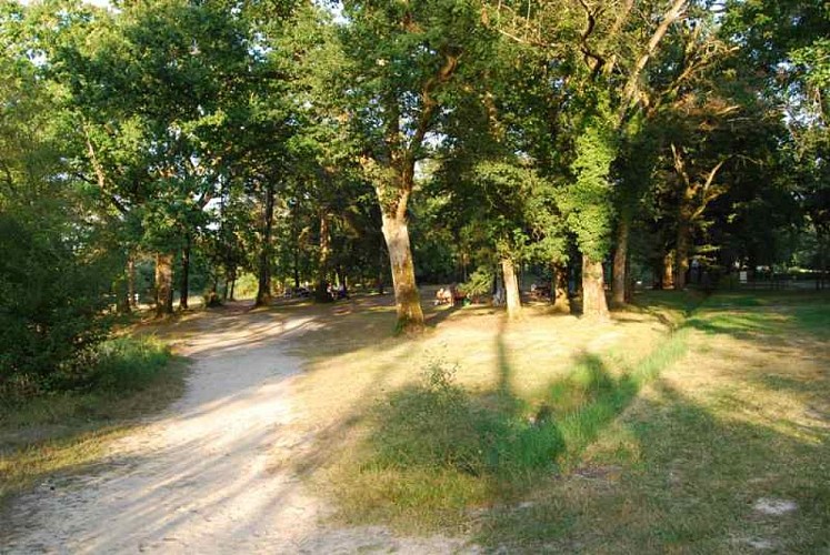 Les Etangs de la Jemaye