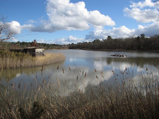 Les Etangs de la Jemaye