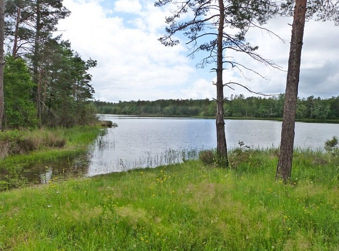 Etang de la Jemaye6 © Ot Pays Ribéracois