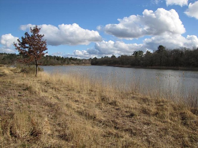 Les Etangs de la Jemaye