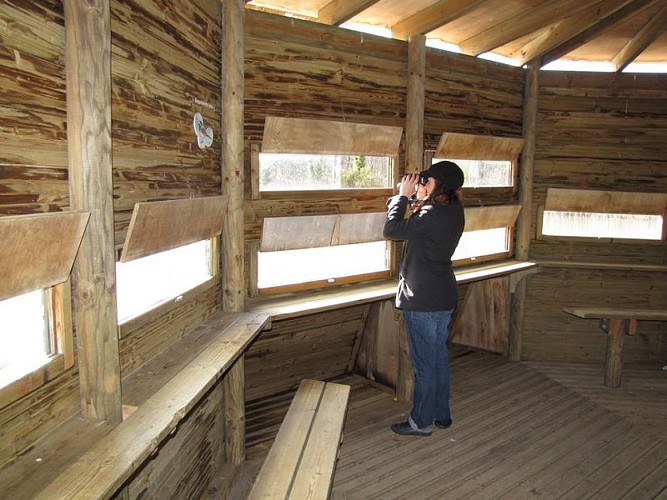 Les Etangs de la Jemaye