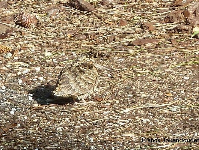 Les Etangs de la Jemaye