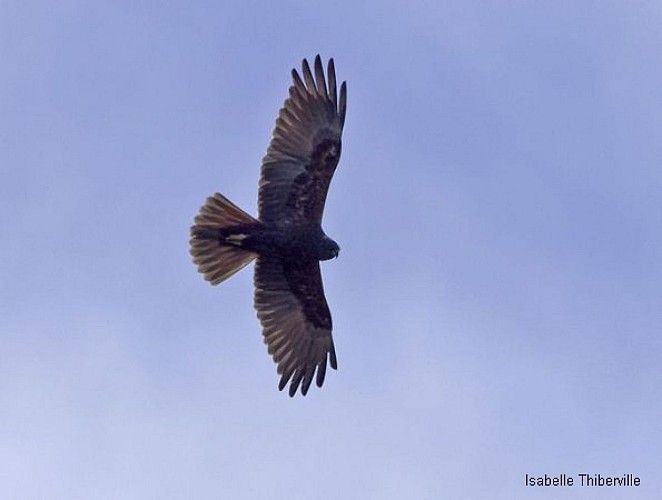 Les Etangs de la Jemaye