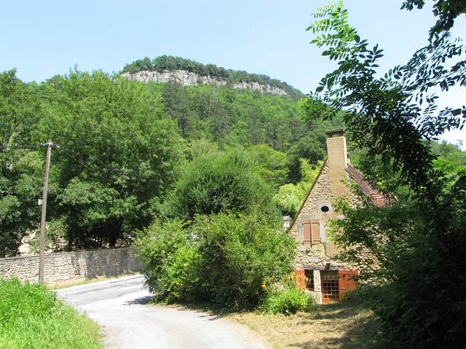 Forêt de Campagne