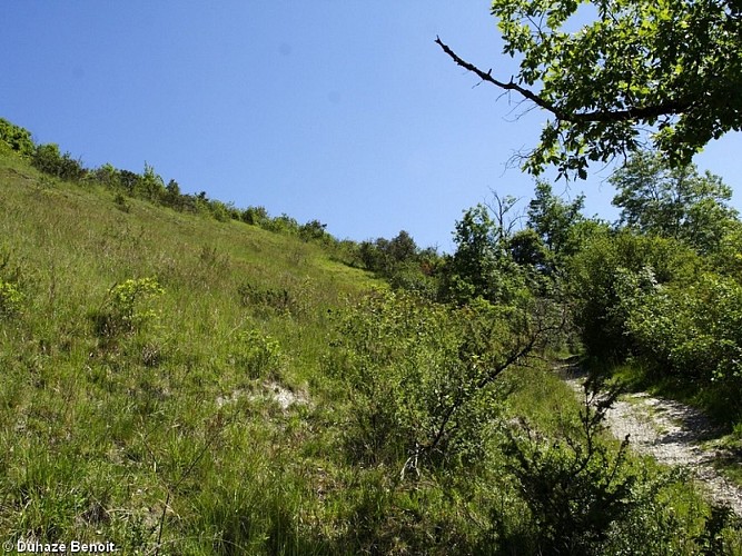 IMG_5443_24STVI_20140516_Vue coteau Saint-Victor_Duhazé Benoit