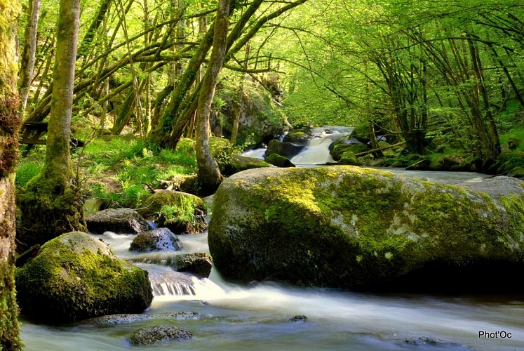saut du chalard 05.08 056