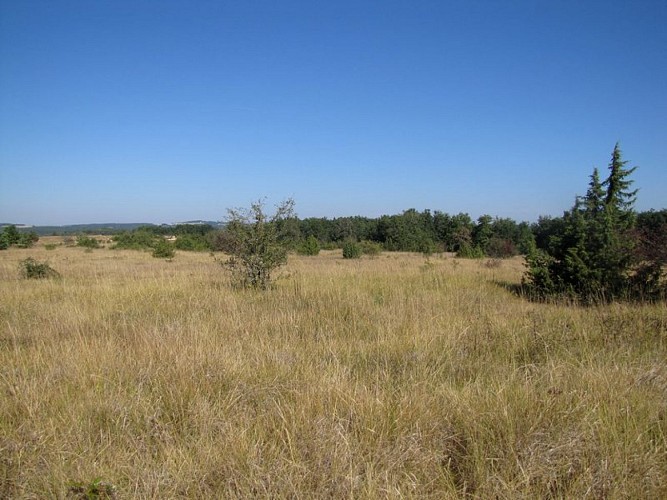 Sentier de découverte du plateau d'Argentine