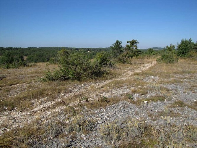 Sentier de découverte du plateau d'Argentine