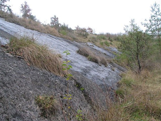 Sentier de découverte du plateau d'Argentine