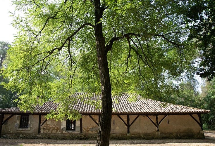 foret-vignoble-grange-beaupouyet-mussidan-toursime-vallee-isle 2