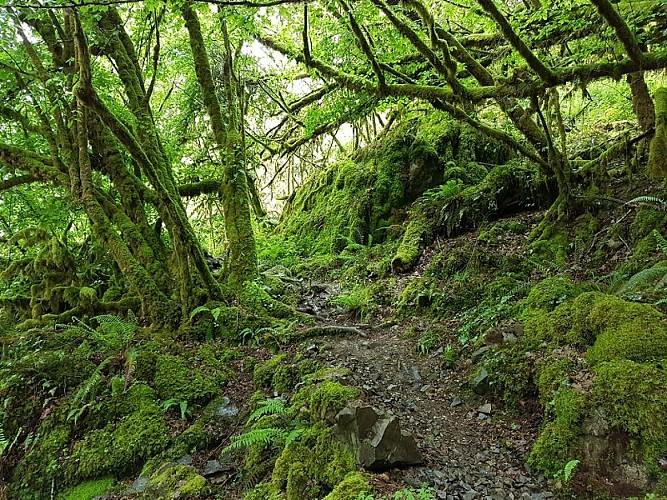 gorges-auvezere-mousse