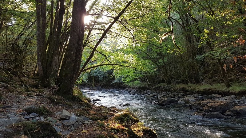 gorges-auvezere-riviere2