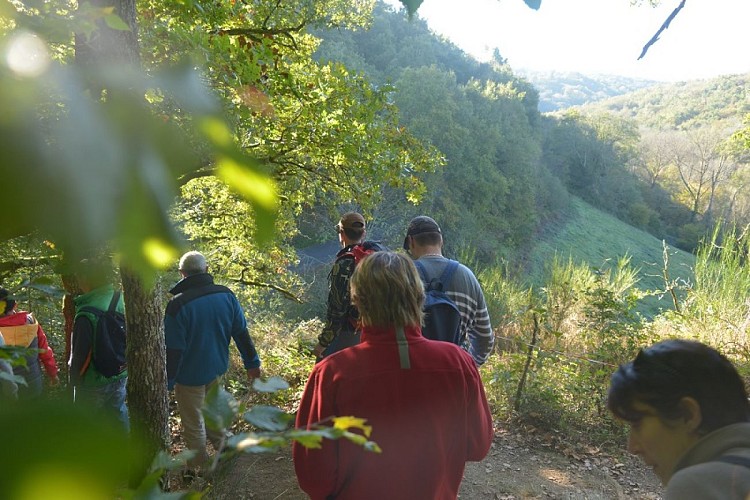 R_auvézère gorges