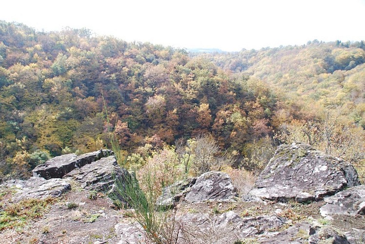 Vue sur les Gorges2