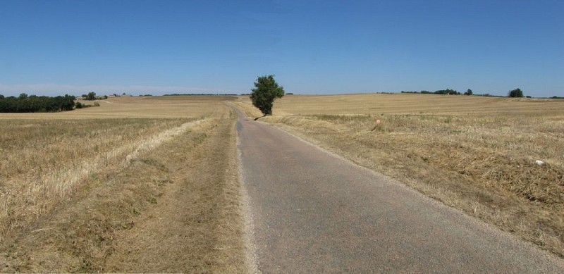 Plaines agricoles du Verteillacois