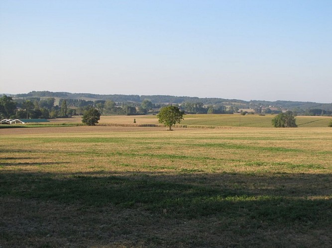 Plaines agricoles du Verteillacois