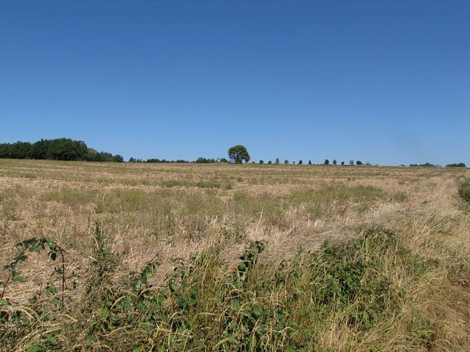 Plaines agricoles du Verteillacois