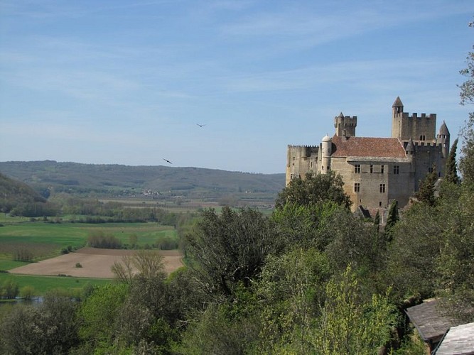 Falaises de la Dordogne entre la Roque-Gageac et Beynac-et-Cazenac