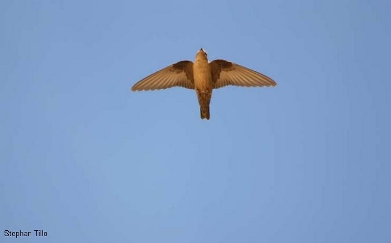 Falaises de la Vézère autour des Eyzies