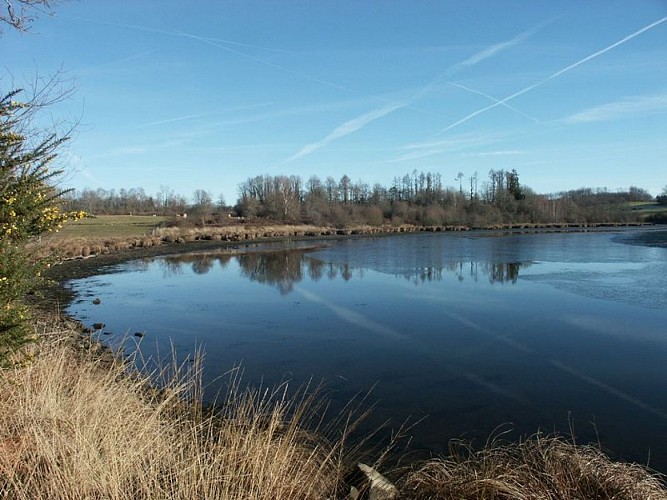 Grand Etang de Saint Estèphe