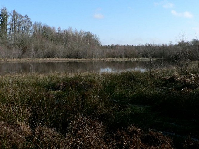 Grand Etang de Saint Estèphe