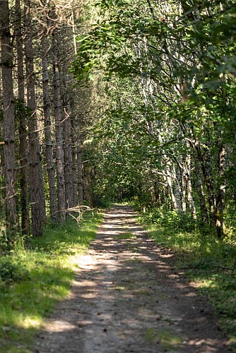 Sentier Botanique de la Roche-Chalais