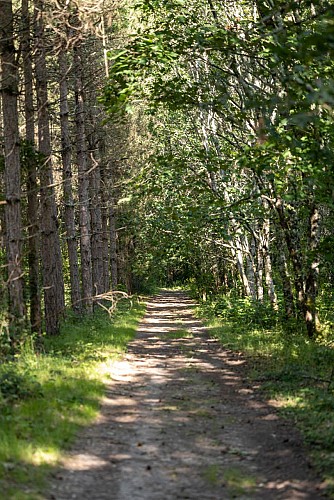 Sentier Botanique de la Roche-Chalais 2