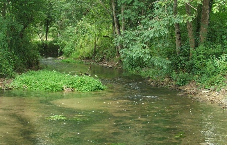 La zone humide du Roc se trouve dans la vallée de l'Euche, cours d'eau de première catégorie piscicole