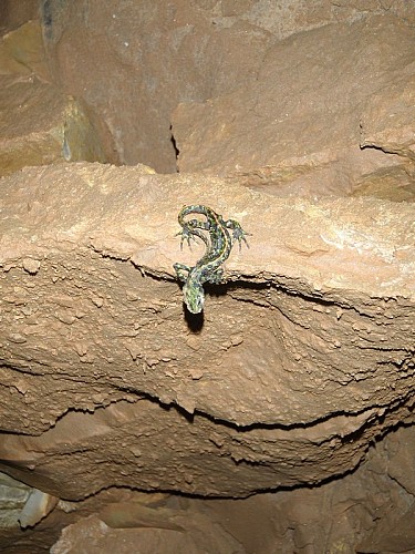 Grotte de Beaussac 5