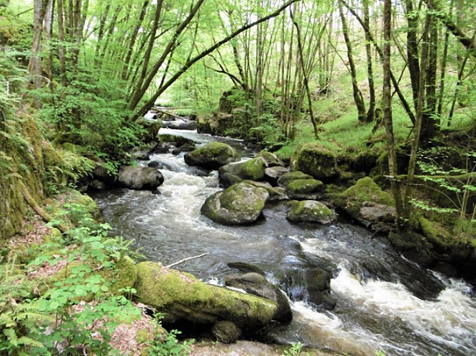 St-Saud - site du Trou de Pilippou