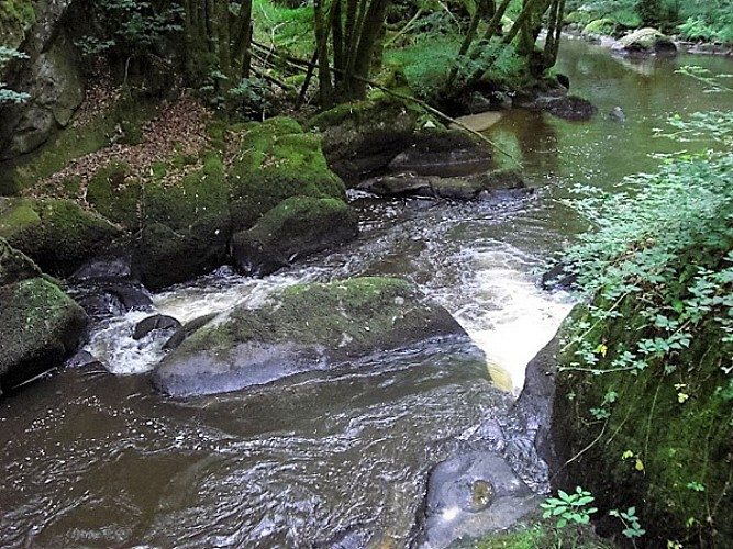 St-Saud Dronne trou de Philippou (2)