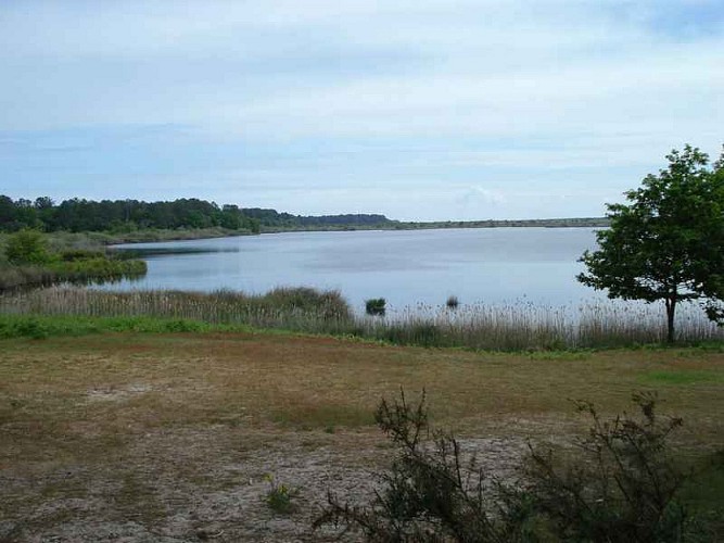 Réserve naturelle nationale de l'étang de Cousseau