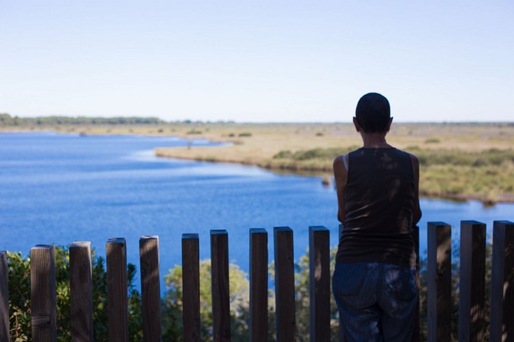 Belvedère Etang de Cousseau - © David Remazeilles (1)