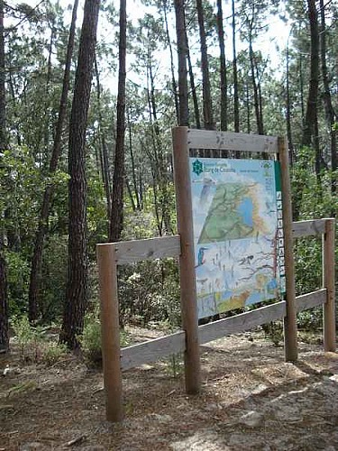 Réserve naturelle nationale de l'étang de Cousseau