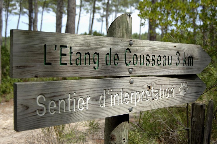 Réserve naturelle nationale de l'étang de Cousseau