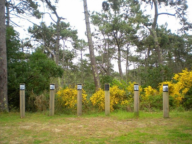 Sentier d'interprétation et point de vue