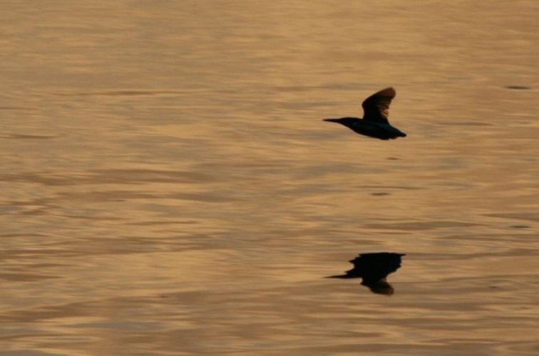 Promenade au coucher du soleil