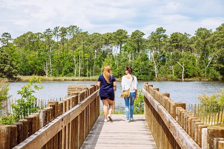 saint-brice-site-naturel - passerelle - balade - arès © Grégory Cassiau - Les Conteurs (24) -