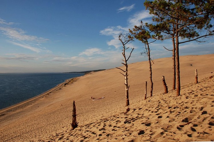 Grand Site de la Dune du Pilat